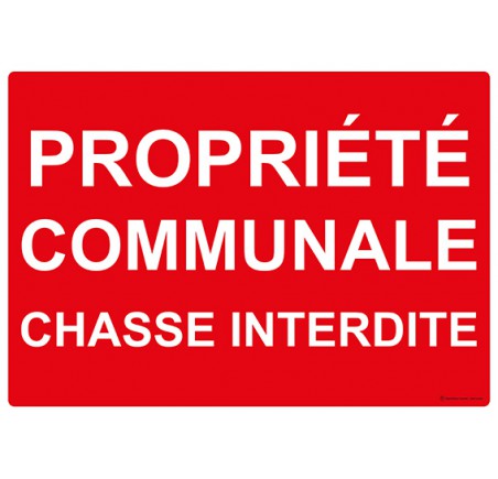 AUA SIGNALETIQUE - Cartello 'Propriété Privée Chasse Interdite' - PVC 1,5mm, 330 Mm - Segnale Proprietà Privata Caccia Vietata