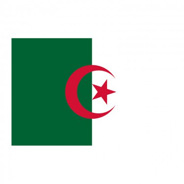 Acheter Drapeau Algérie - 7 tailles disponibles