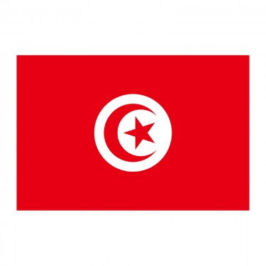 Drapeau de la Tunisie à hisser