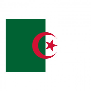 Drapeau de l'Algérie sur hampe