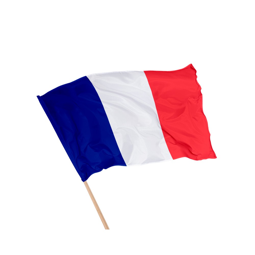 Drapeau de la France sur hampe