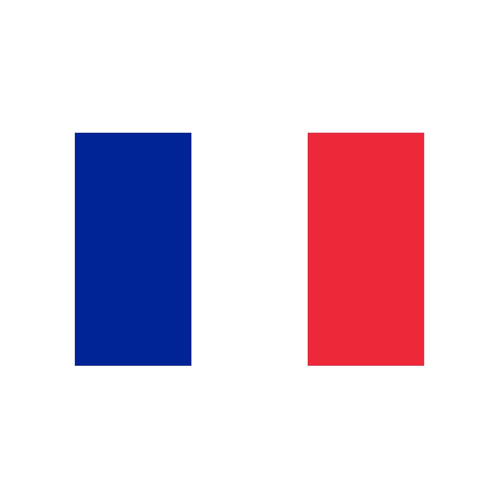 Digni Drapeau France Sur Hampe En Bois - 30x45cm
