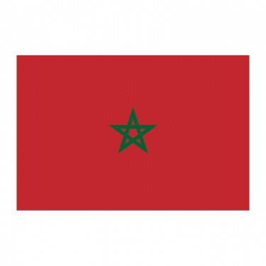 Drapeau du Maroc sur hampe