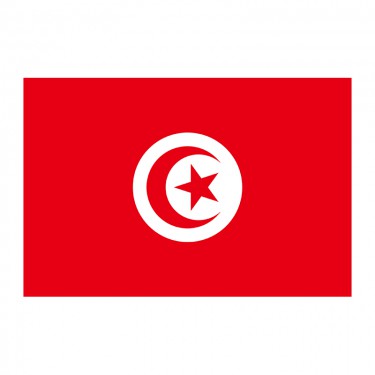 Drapeau de la Tunisie sur hampe