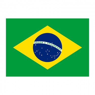Drapeau du Brésil sur hampe
