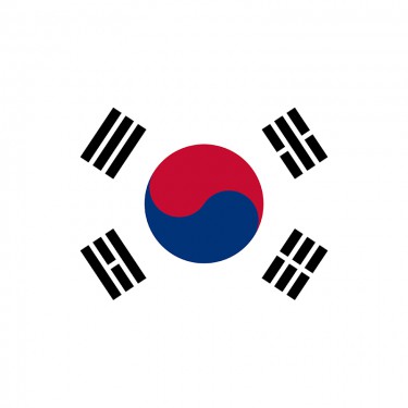 Drapeau de la Corée du Sud sur hampe