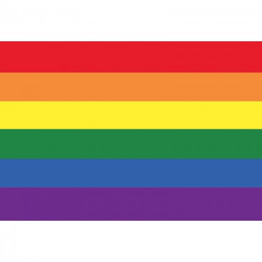 Drapeau Gay 90 X 150 cm des fiertés LGBTQIA+ – Proud & Gay