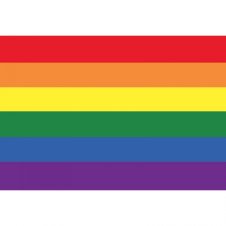 Drapeau LGBT ou Gay sur Hampe à agiter - 5 tailles disponibles ...