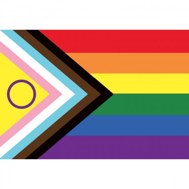 Drapeau LGBTQI+ Progress Pride à hisser
