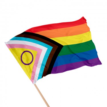 Drapeau LGBTQI+ Progress Pride sur hampe