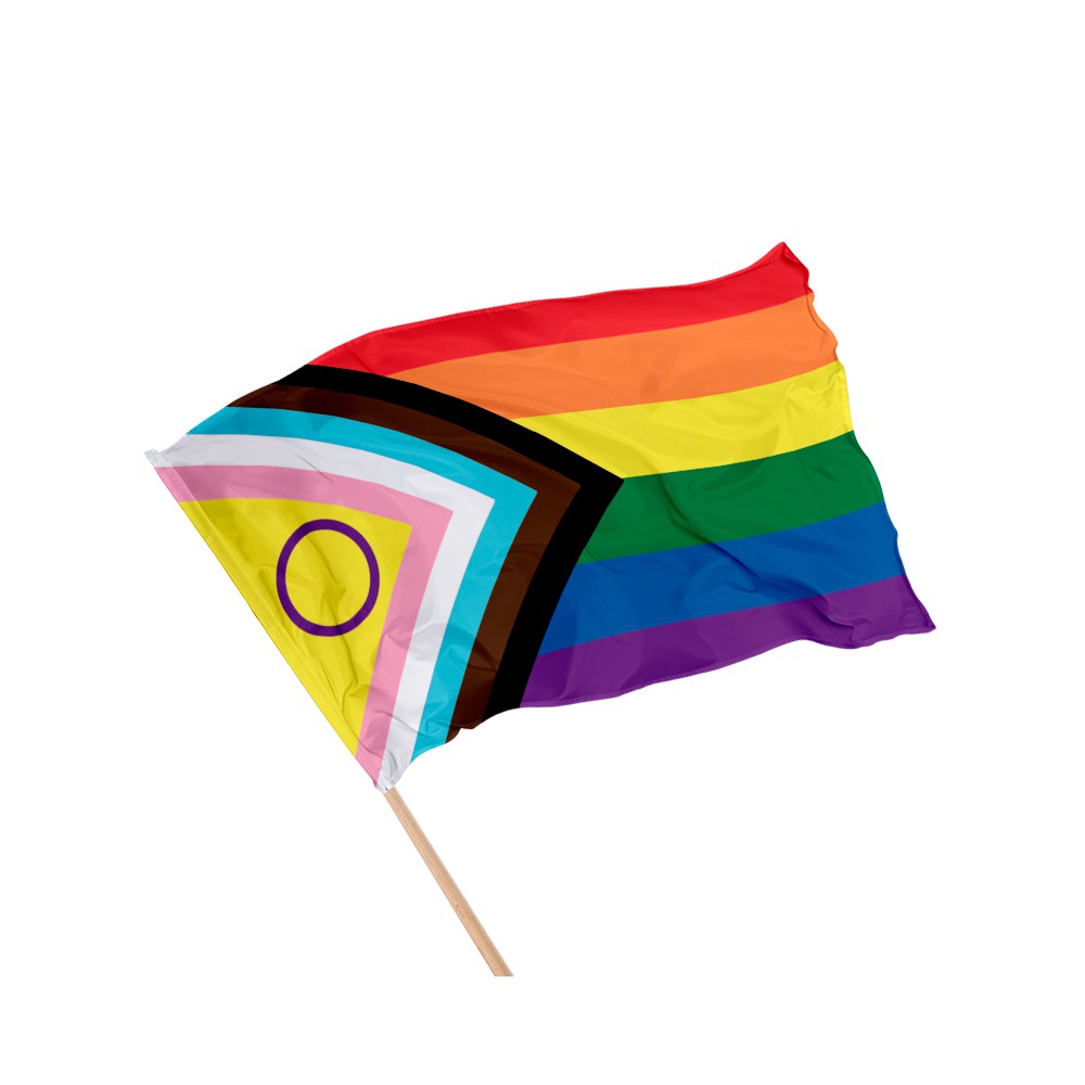 Drapeau LGBTQI+ Progress Pride sur hampe