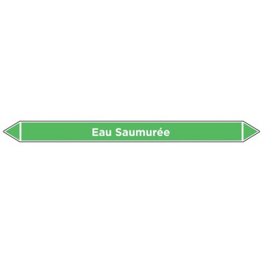 Marqueur de tuyauterie Eau Saumurée
