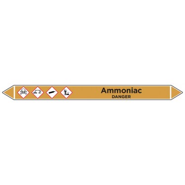 Marqueur de tuyauterie Ammoniac